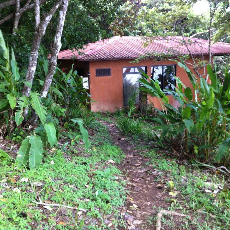 Howlers Bay Hotel Boca Chica Eksteriør billede